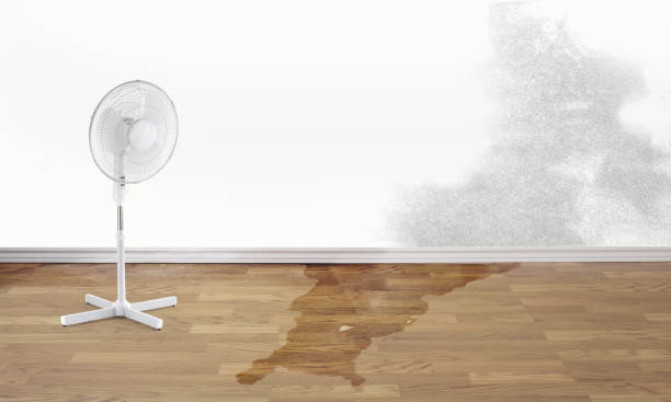 24/7 water damage repair in NJ