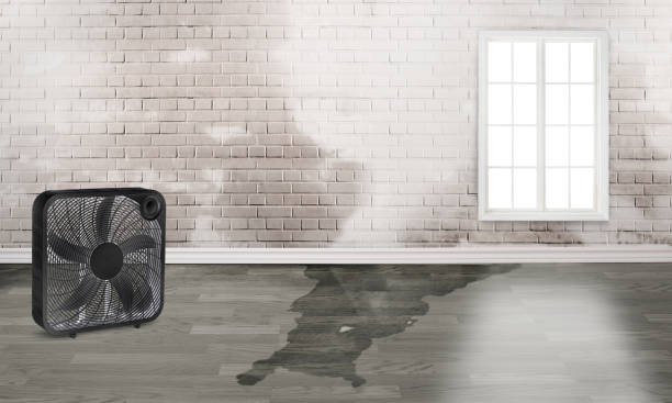 Best Basement water damage restoration  in Kearny, NJ