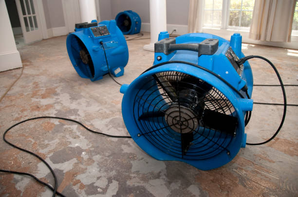 Best Commercial water damage restoration  in Kearny, NJ