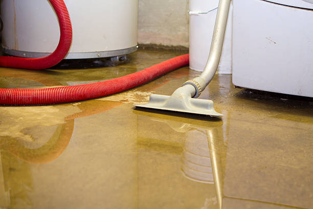 Best Water damage restoration near me  in Kearny, NJ