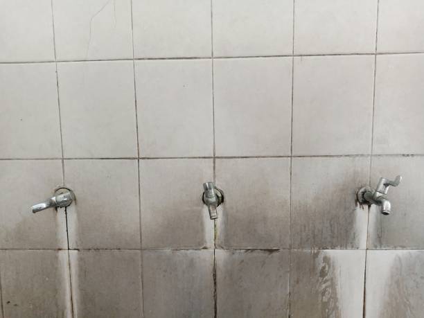 Best Sewage cleanup and water damage restoration  in Kearny, NJ