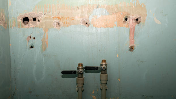 Best 24-hour water damage restoration  in Kearny, NJ